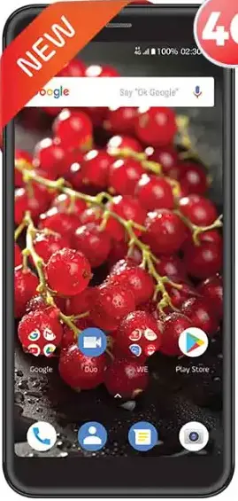 we v4 official back  side image